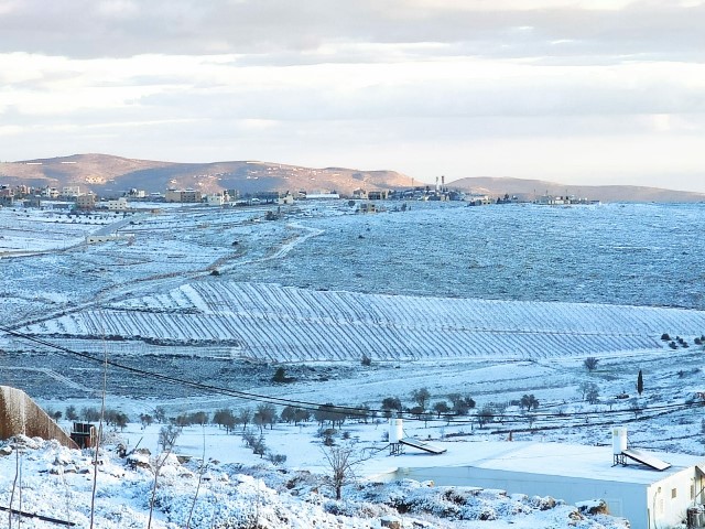 Vineyards binyamin snow2
